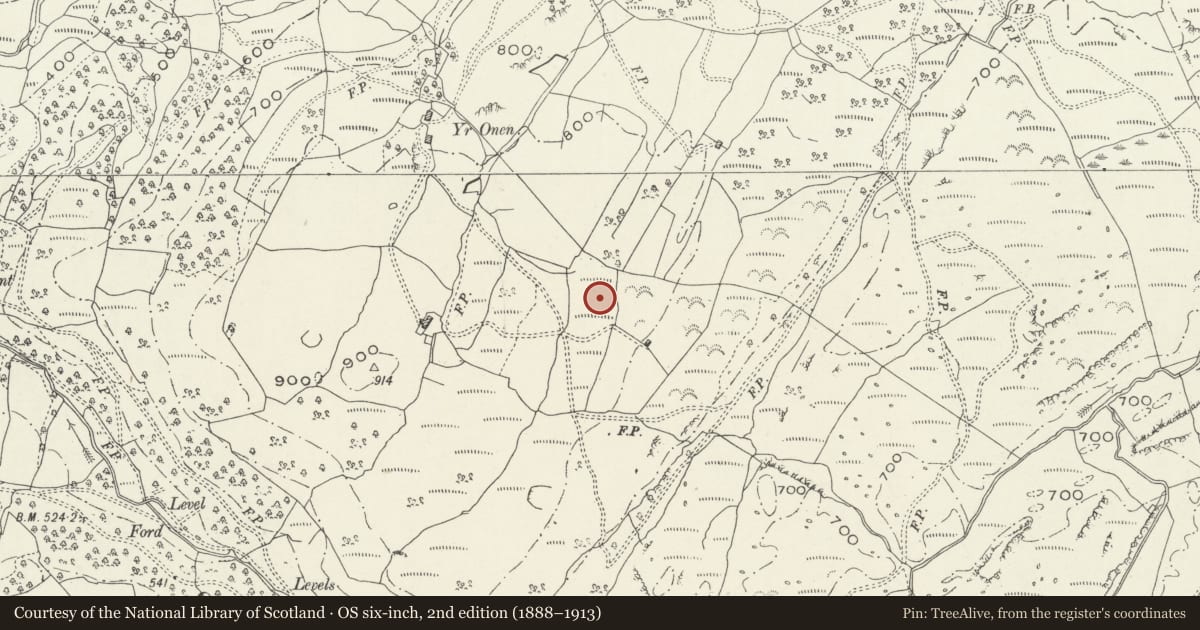 Ordnance Survey six-inch map, 2nd edition (1888–1913) covering the location of Enclosed Hut Circle Settlement South East of Yr Onen, Talsarnau, Gwynedd, with a pin at the register's coordinates