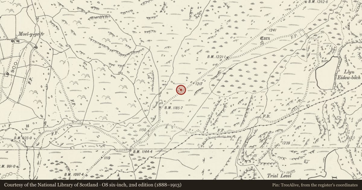Ordnance Survey six-inch map, 2nd edition (1888–1913) covering the location of Hut Circle Settlement and Cairn Field West of Llyn Eiddew Bach, Talsarnau, Gwynedd, with a pin at the register's coordinates