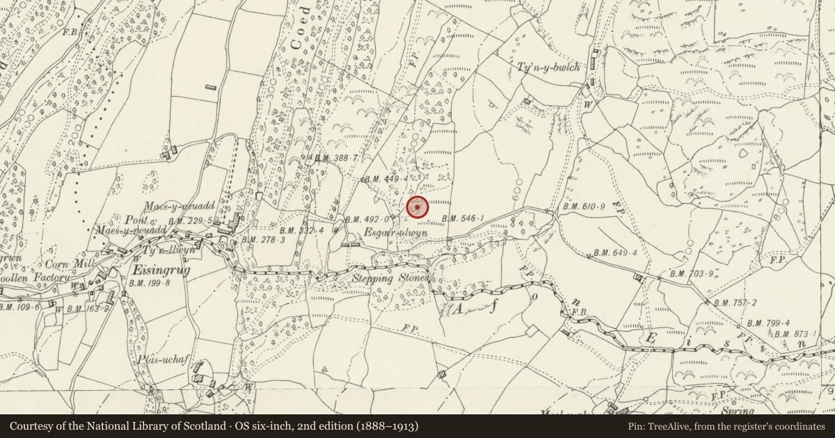 Ordnance Survey six-inch map, 2nd edition (1888–1913) covering the location of Settlement E of Eisingrug, Talsarnau, Gwynedd, with a pin at the register's coordinates
