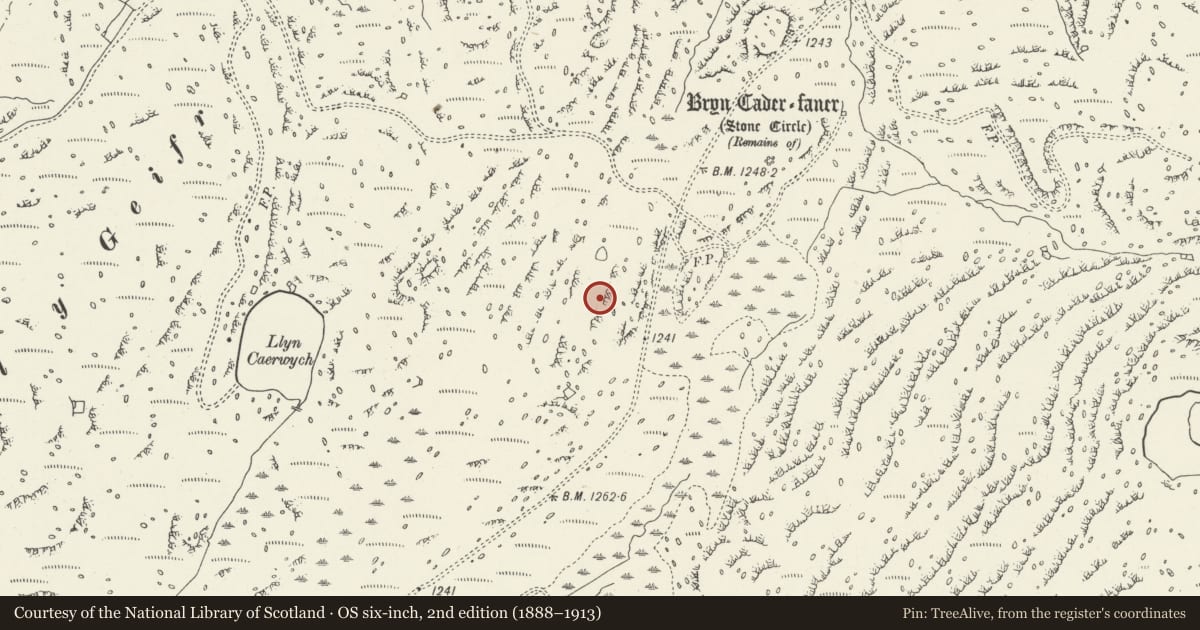 Ordnance Survey six-inch map, 2nd edition (1888–1913) covering the location of Settlements SW of Bryn Cader Faner, Talsarnau, Gwynedd, with a pin at the register's coordinates