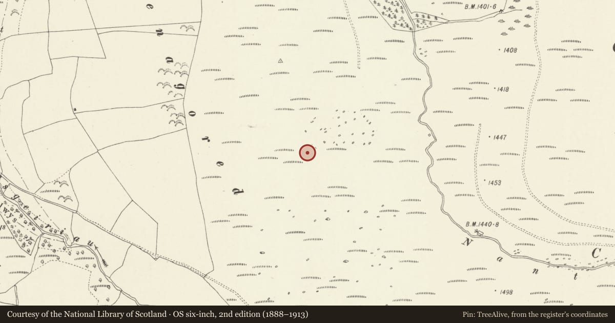 Ordnance Survey six-inch map, 2nd edition (1888–1913) covering the location of Two Ring Cairns West of Cwm Tywyll, Llandrillo, Denbighshire, with a pin at the register's coordinates