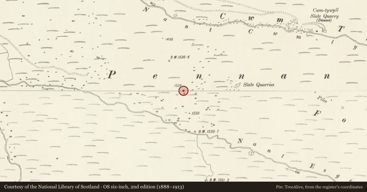 Ordnance Survey six-inch map, 2nd edition (1888–1913) covering the location of Cairns, Settlements & Field Systems of Prehistoric & Medieval date at Pennant above Nant Esgeiriau, Llandrillo, Denbighshire, with a pin at the register's coordinates