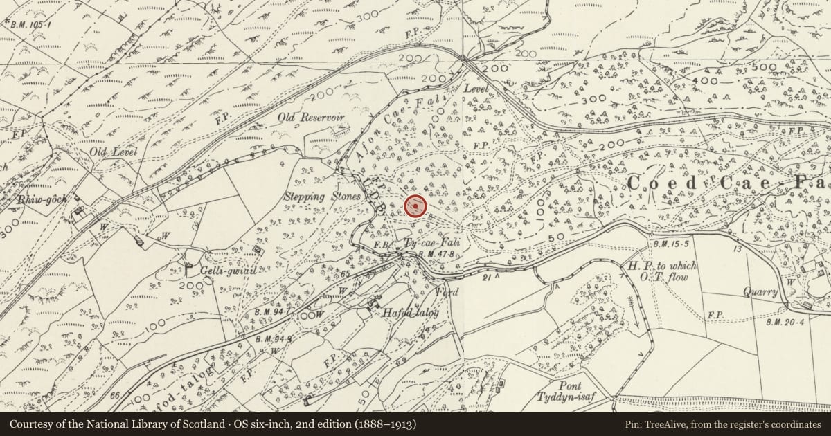 Ordnance Survey six-inch map, 2nd edition (1888–1913) covering the location of Coed Cae Fali Hut Circle Settlement, Maentwrog, Gwynedd, with a pin at the register's coordinates