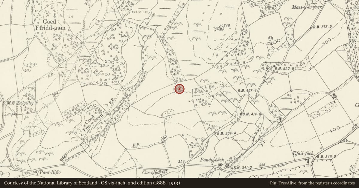 Ordnance Survey six-inch map, 2nd edition (1888–1913) covering the location of Cymmer Castle, Llanelltyd, Gwynedd, with a pin at the register's coordinates