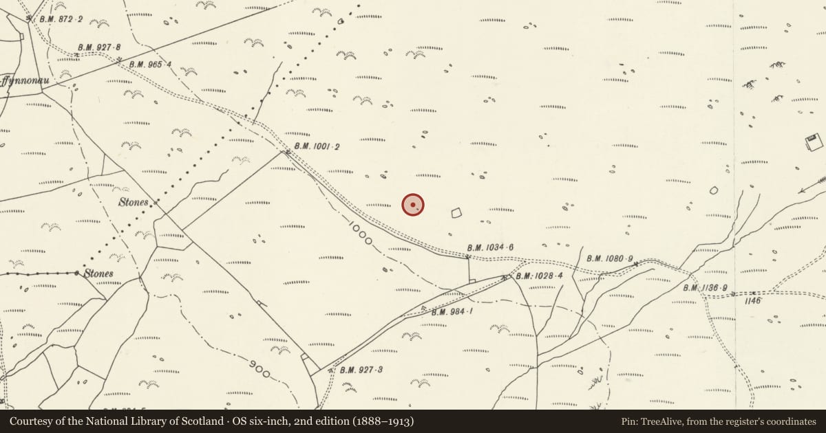 Ordnance Survey six-inch map, 2nd edition (1888–1913) covering the location of Hut Group and Enclosures on SW Slope of Moelfre, Dyffryn Ardudwy, Gwynedd, with a pin at the register's coordinates