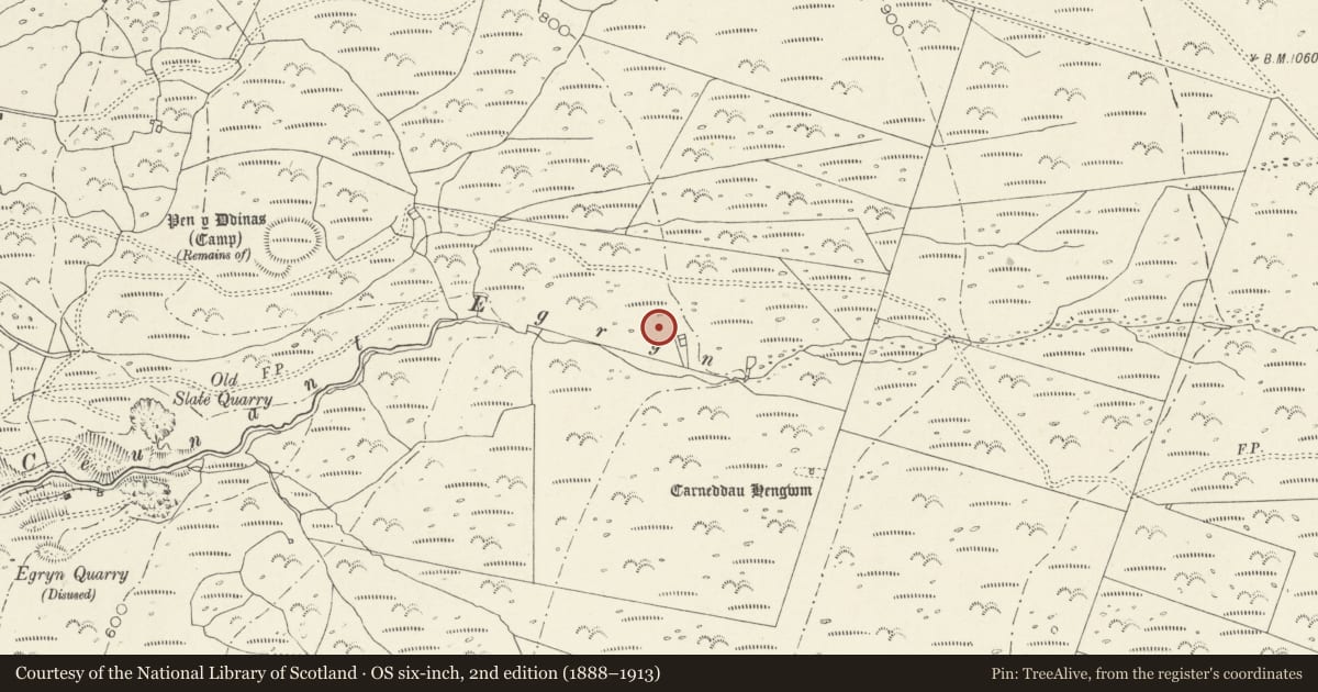 Ordnance Survey six-inch map, 2nd edition (1888–1913) covering the location of Ceunant Egryn Hut Group, Dyffryn Ardudwy, Gwynedd, with a pin at the register's coordinates