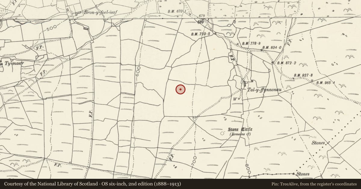 Ordnance Survey six-inch map, 2nd edition (1888–1913) covering the location of Enclosure near Bron y Foel, Moelfre, Dyffryn Ardudwy, Gwynedd, with a pin at the register's coordinates