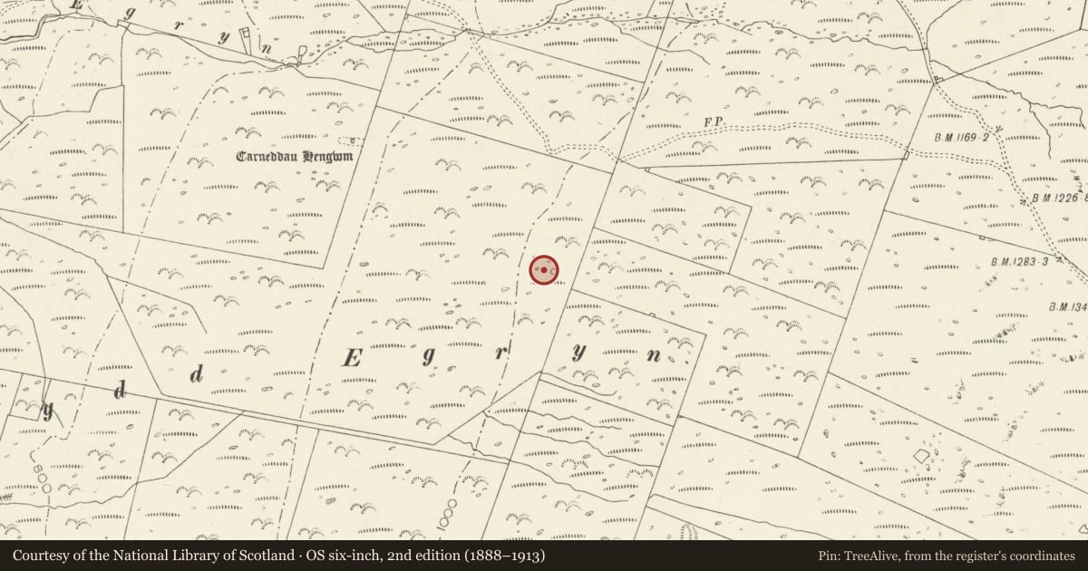 Ordnance Survey six-inch map, 2nd edition (1888–1913) covering the location of Mynydd Egryn Ring Cairn, Dyffryn Ardudwy, Gwynedd, with a pin at the register's coordinates