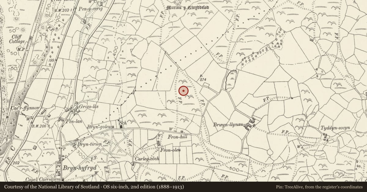 Ordnance Survey six-inch map, 2nd edition (1888–1913) covering the location of Enclosure and Early Field System North of Fronhill, Llanfair, Gwynedd, with a pin at the register's coordinates
