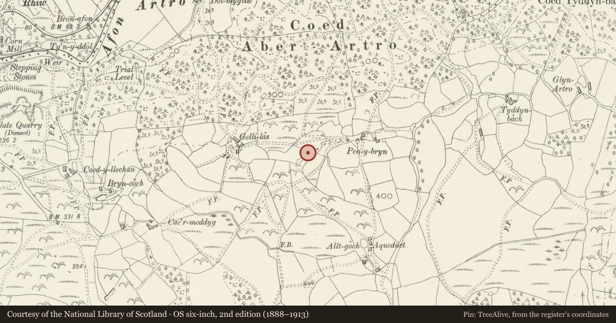 Ordnance Survey six-inch map, 2nd edition (1888–1913) covering the location of Hut Circle West of Pen-y-Bryn, Llanbedr, Gwynedd, with a pin at the register's coordinates
