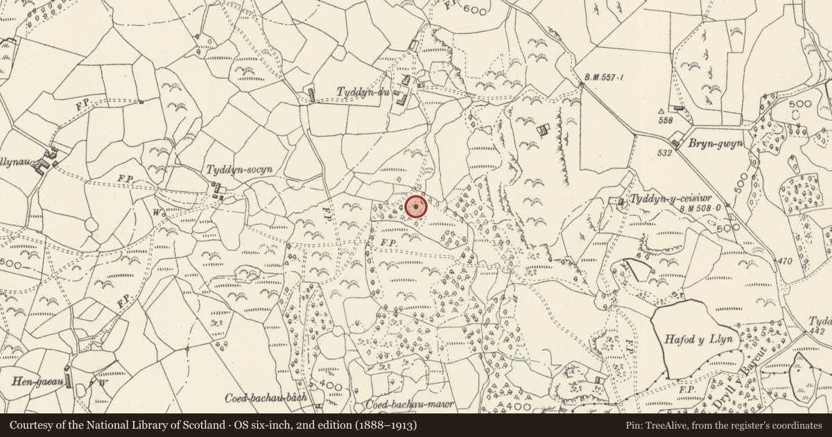 Ordnance Survey six-inch map, 2nd edition (1888–1913) covering the location of Hut Circle South of Tyddyn-Du, Llanfair, Gwynedd, with a pin at the register's coordinates