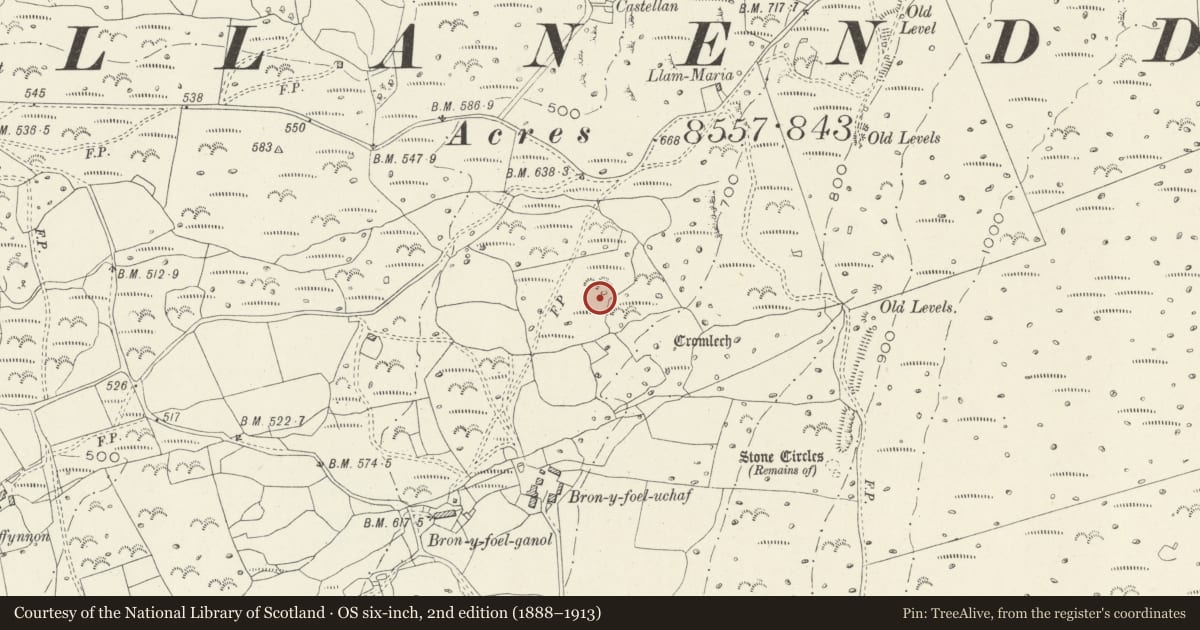 Ordnance Survey six-inch map, 2nd edition (1888–1913) covering the location of Settlement and Field System at Bron y Foel Uchaf, Dyffryn Ardudwy, Gwynedd, with a pin at the register's coordinates