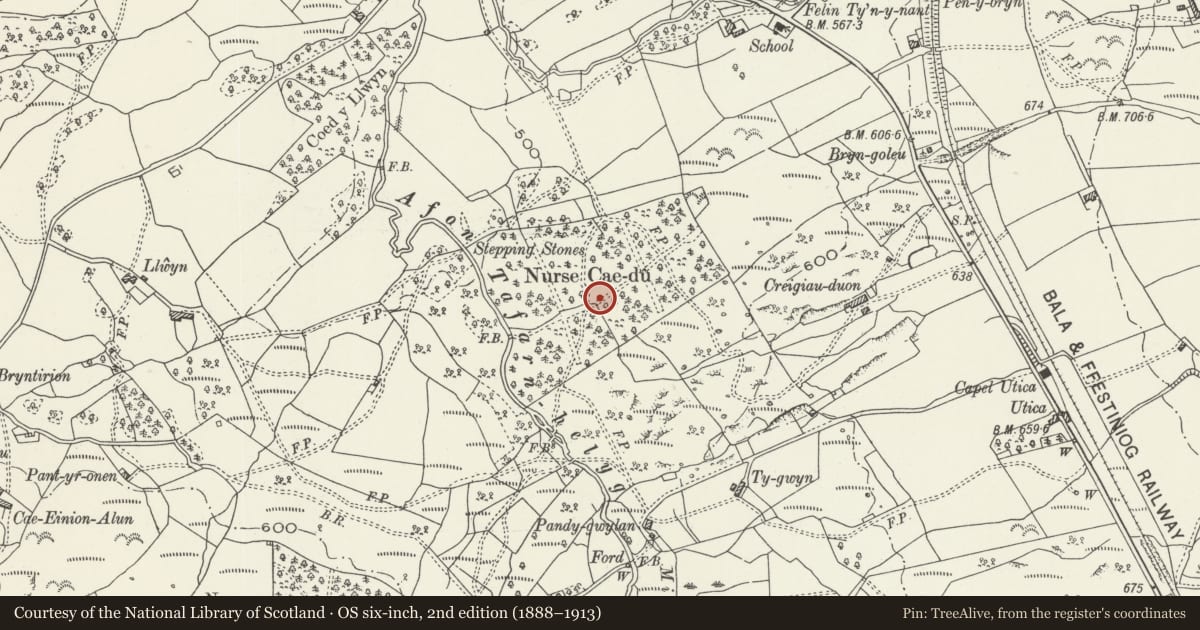 Ordnance Survey six-inch map, 2nd edition (1888–1913) covering the location of Enclosed Hut Group at Nurse Cae Du, Maentwrog, Gwynedd, with a pin at the register's coordinates