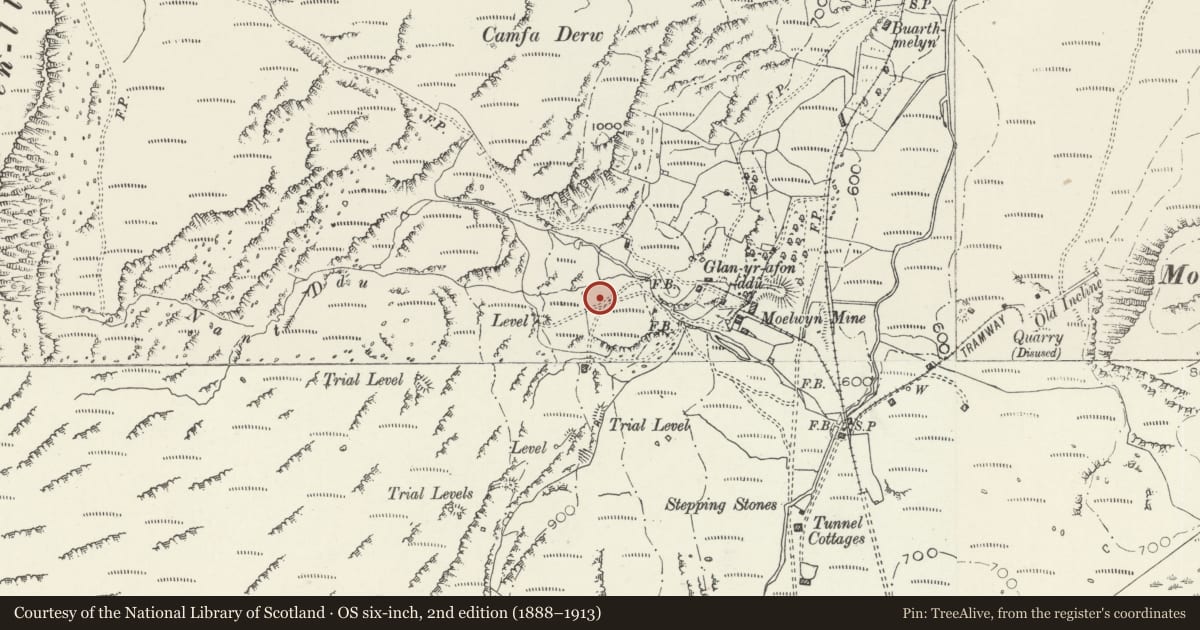 Ordnance Survey six-inch map, 2nd edition (1888–1913) covering the location of Hut Circle Settlement at Nant Ddu, Ffestiniog, Gwynedd, with a pin at the register's coordinates