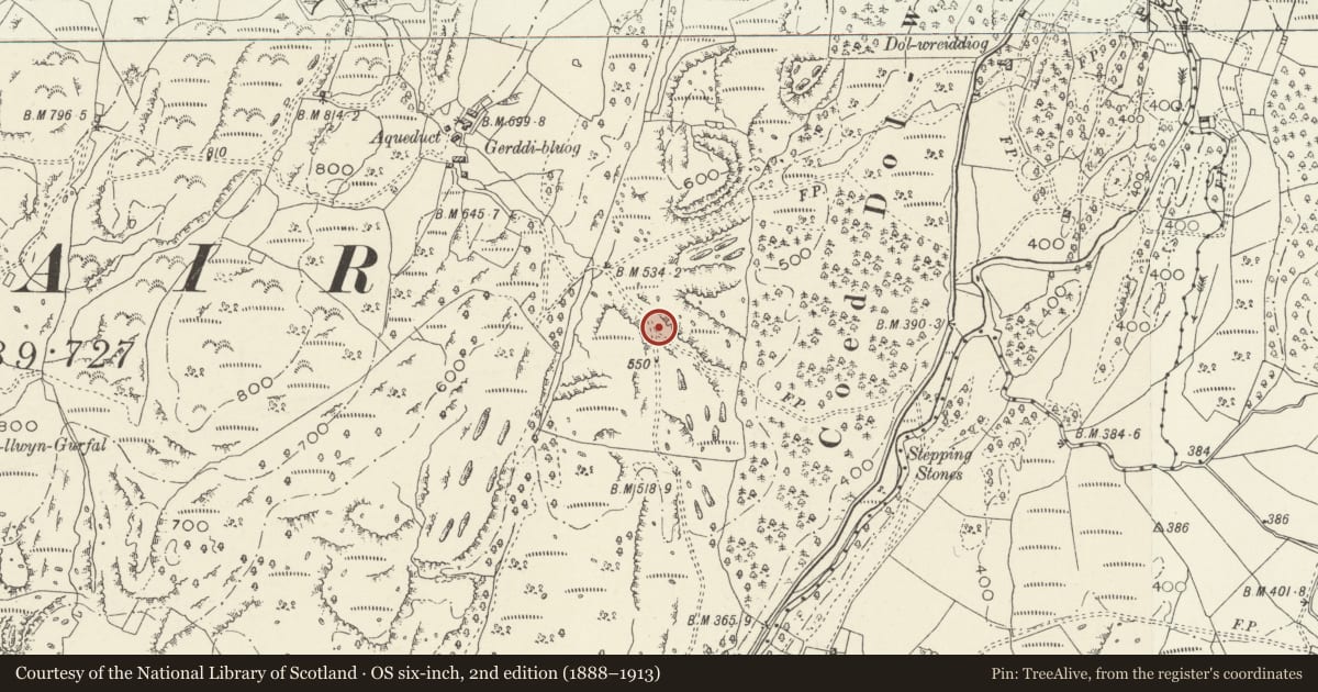 Ordnance Survey six-inch map, 2nd edition (1888–1913) covering the location of Hut Circle near Gerddi Bluog, Llanfair, Gwynedd, with a pin at the register's coordinates