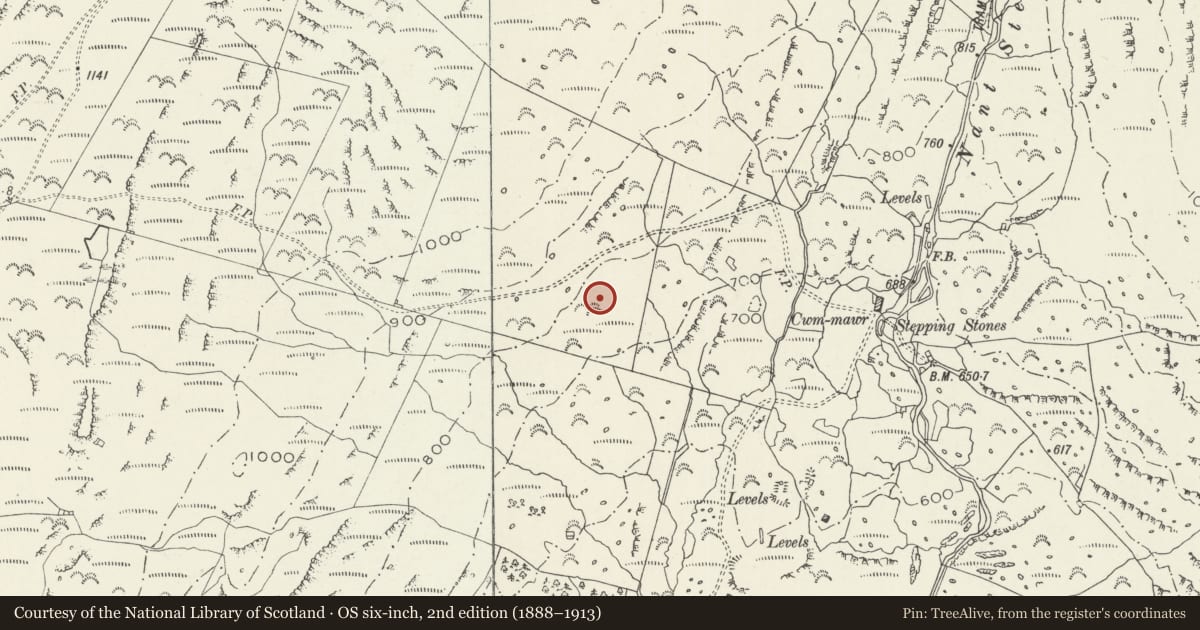 Ordnance Survey six-inch map, 2nd edition (1888–1913) covering the location of Hut Circle Settlement North-East of Moel-y-Gerddi, Llanfair, Gwynedd, with a pin at the register's coordinates