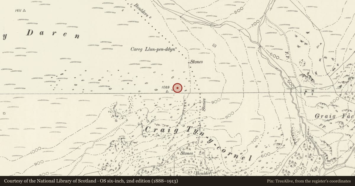 Ordnance Survey six-inch map, 2nd edition (1888–1913) covering the location of Hut Circle Settlement at Craig Ty'n-y-Cornel, Llanegryn, Gwynedd, with a pin at the register's coordinates
