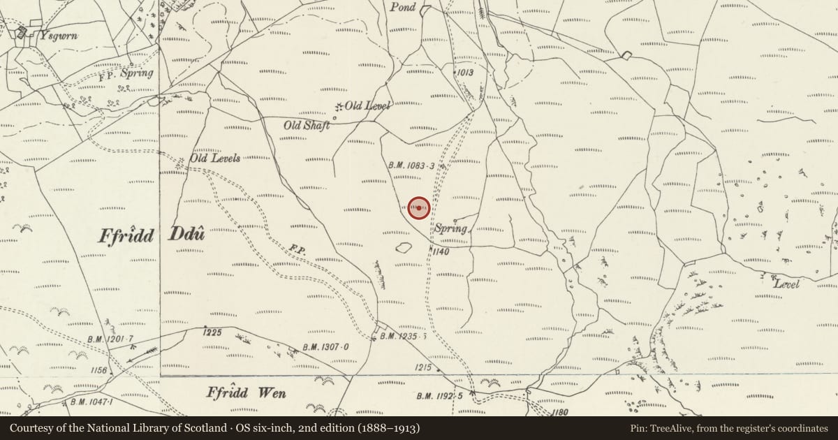 Ordnance Survey six-inch map, 2nd edition (1888–1913) covering the location of Enclosed Hut Circle Settlement at Ffridd Bodyfuddau, Trawsfynydd, Gwynedd, with a pin at the register's coordinates