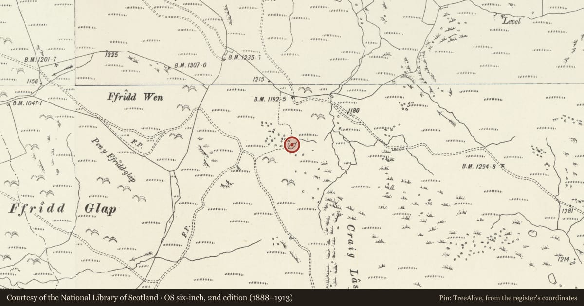Ordnance Survey six-inch map, 2nd edition (1888–1913) covering the location of Hut Circle and Field System at Craiglaseithin, Trawsfynydd, Gwynedd, with a pin at the register's coordinates