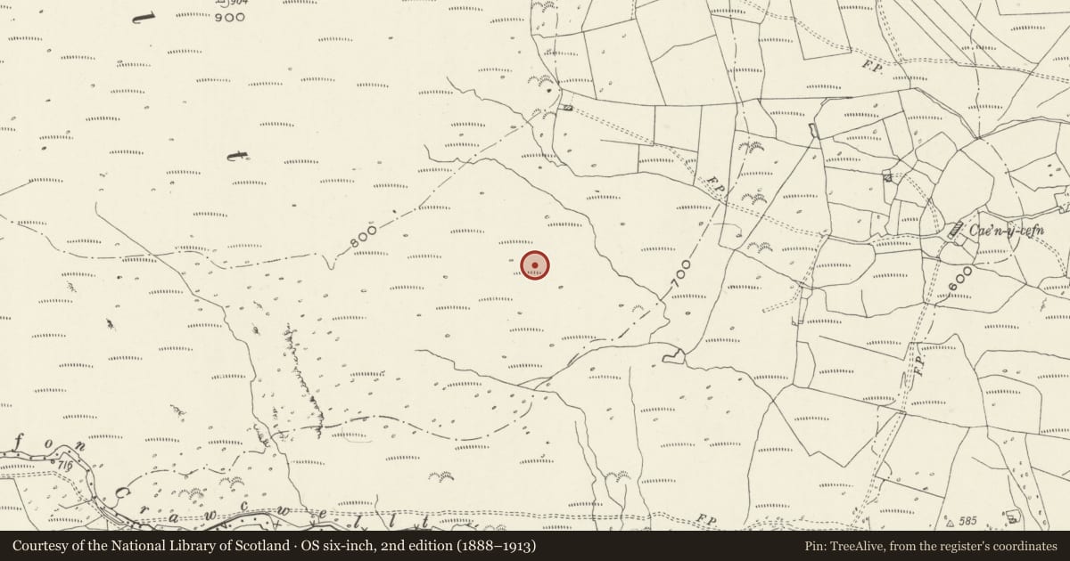 Ordnance Survey six-inch map, 2nd edition (1888–1913) covering the location of Hut Circle Settlement at Crawcwellt South, Trawsfynydd, Gwynedd, with a pin at the register's coordinates