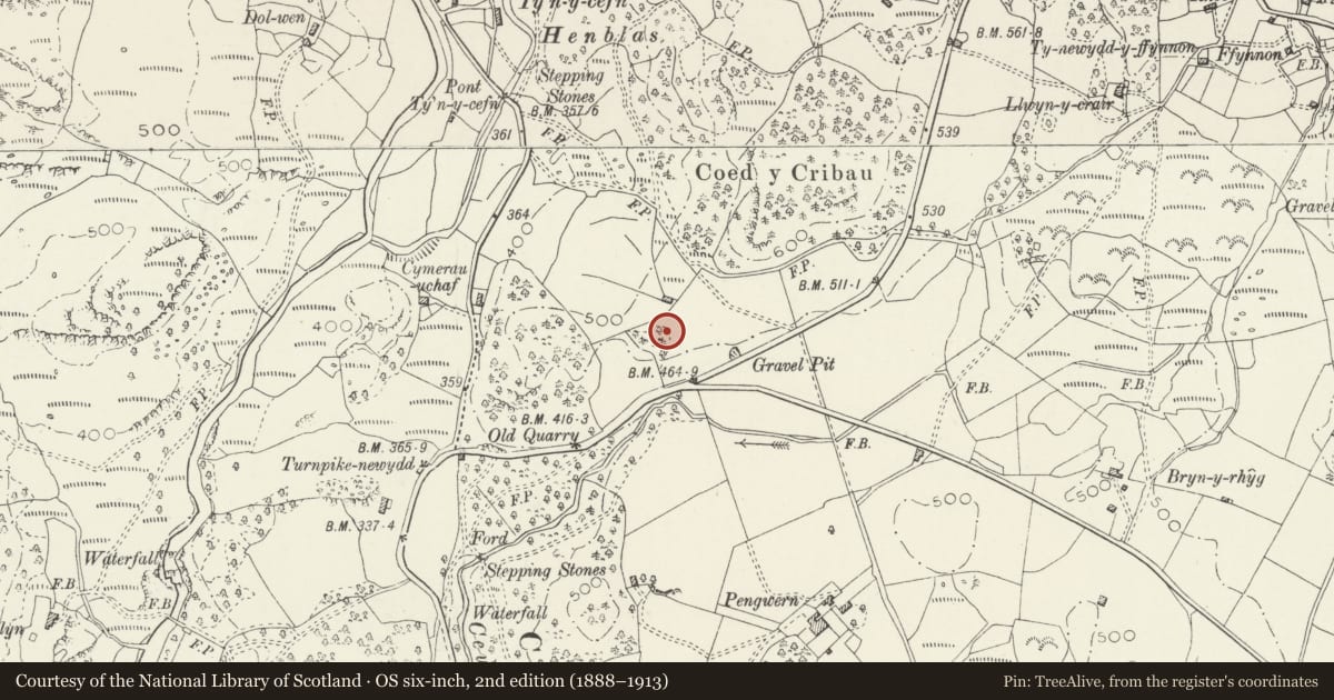 Ordnance Survey six-inch map, 2nd edition (1888–1913) covering the location of Hut Circle East of Cymerau Uchaf (also known as Hut Circle at Hen Blas), Ffestiniog, Gwynedd, with a pin at the register's coordinates