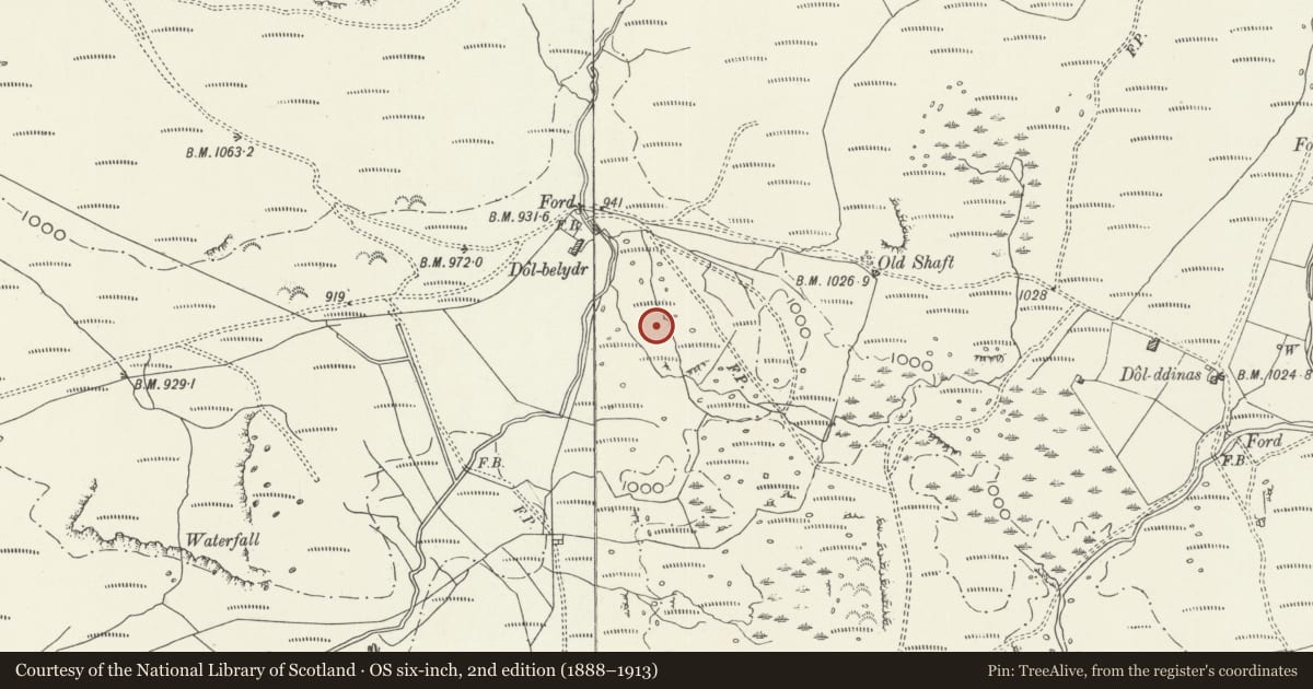 Ordnance Survey six-inch map, 2nd edition (1888–1913) covering the location of Enclosed Hut Circle Settlement at Dolbelydr, Trawsfynydd, Gwynedd, with a pin at the register's coordinates