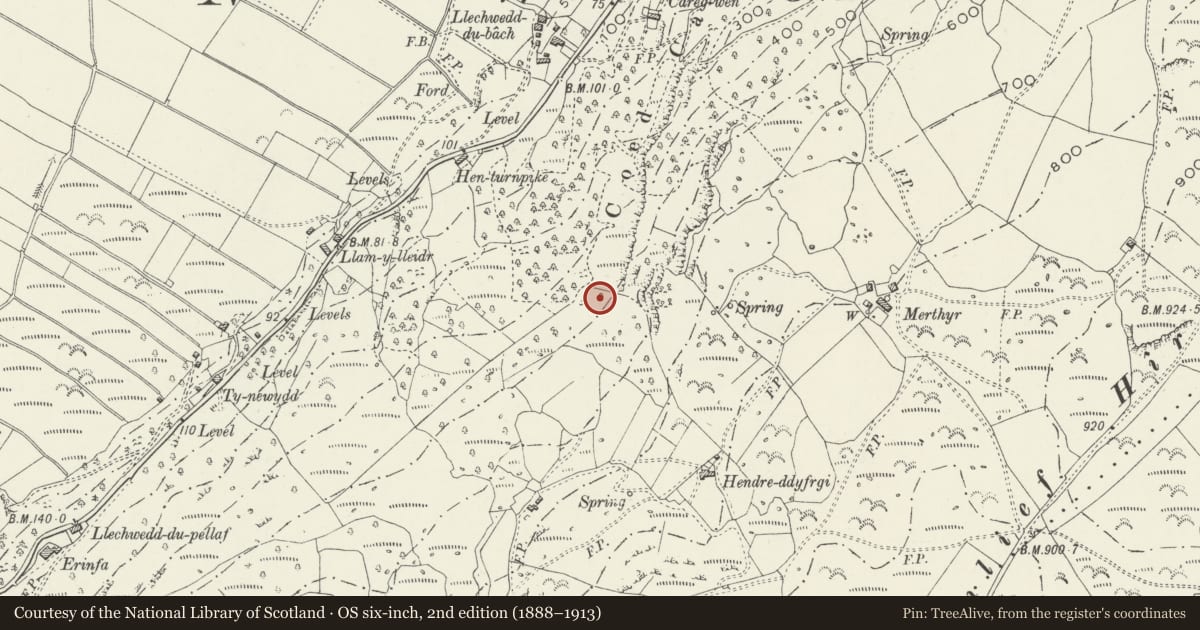Ordnance Survey six-inch map, 2nd edition (1888–1913) covering the location of Hut Circle West of Merthyr Farm, Harlech, Gwynedd, with a pin at the register's coordinates