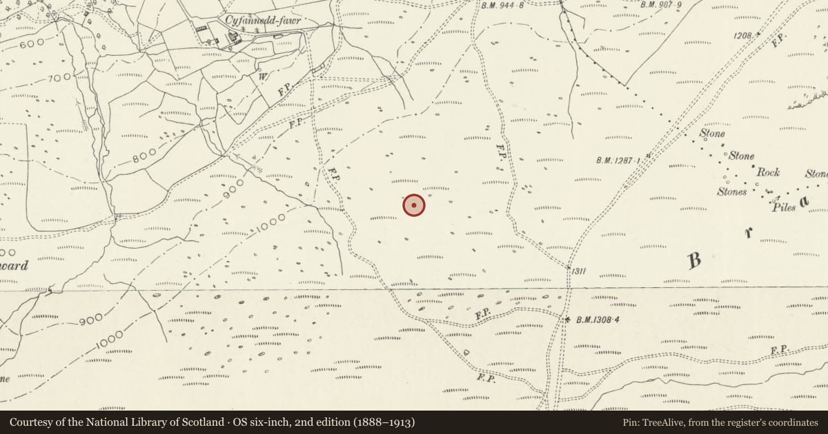 Ordnance Survey six-inch map, 2nd edition (1888–1913) covering the location of Hut Circle South of Cyfannedd Fawr, Arthog, Gwynedd, with a pin at the register's coordinates