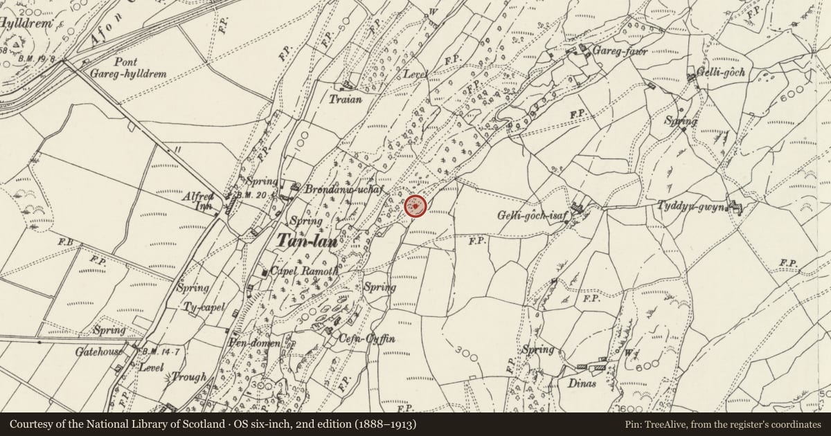 Ordnance Survey six-inch map, 2nd edition (1888–1913) covering the location of Unenclosed Hut Circle Settlement at Bryn Derw, Llanfrothen, Gwynedd, with a pin at the register's coordinates