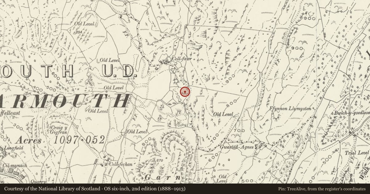 Ordnance Survey six-inch map, 2nd edition (1888–1913) covering the location of Hut Circle at Gellfawr, Barmouth, Gwynedd, with a pin at the register's coordinates