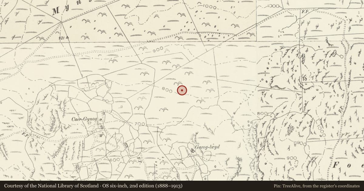 Ordnance Survey six-inch map, 2nd edition (1888–1913) covering the location of Hut Circle Settlement East of Caer-Cynog, Llanbedr, Gwynedd, with a pin at the register's coordinates
