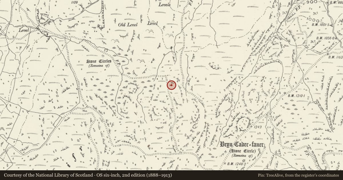 Ordnance Survey six-inch map, 2nd edition (1888–1913) covering the location of Hut Circles East of Moel Geifr, Talsarnau, Gwynedd, with a pin at the register's coordinates