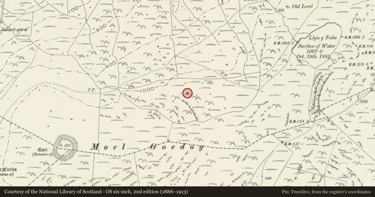 Ordnance Survey six-inch map, 2nd edition (1888–1913) covering the location of Hut Circle North-East of Moel Goedog, Talsarnau, Gwynedd, with a pin at the register's coordinates