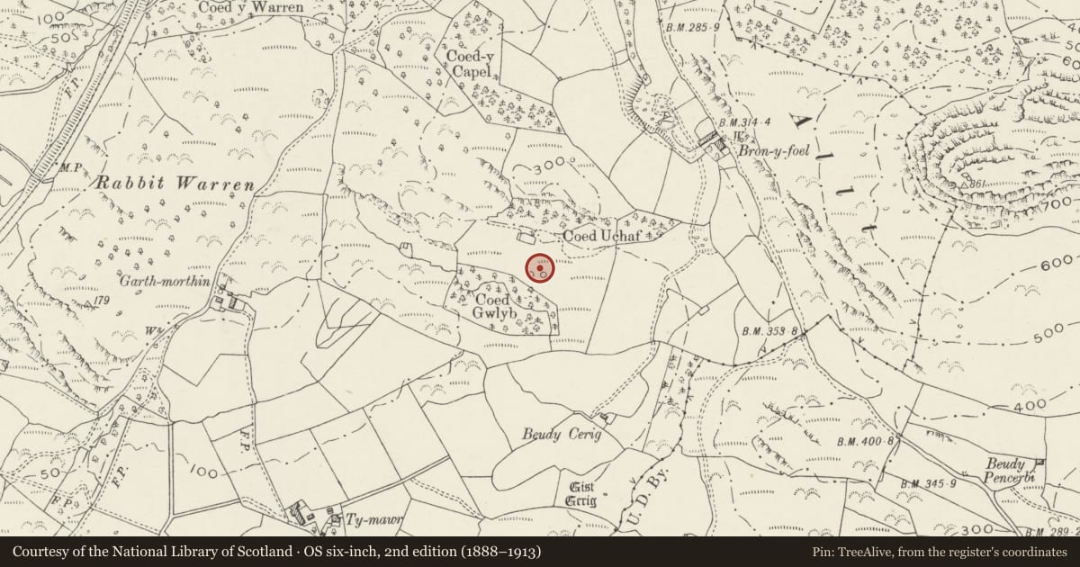 Ordnance Survey six-inch map, 2nd edition (1888–1913) covering the location of Enclosed Hut Circle Settlement North of Coed Gwlyb, Dolbenmaen, Gwynedd, with a pin at the register's coordinates