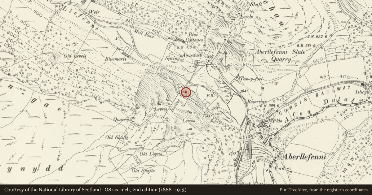Ordnance Survey six-inch map, 2nd edition (1888–1913) covering the location of Water Balance Incline at Aberllefenni Slate Quarry, Corris, Gwynedd, with a pin at the register's coordinates