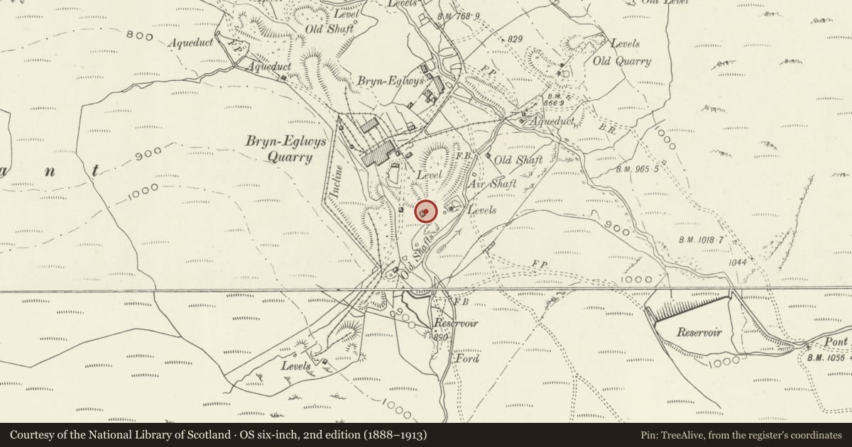 Ordnance Survey six-inch map, 2nd edition (1888–1913) covering the location of Water Powered Chain Incline at Bryneglwys Slate Quarry, Llanfihangel-y-Pennant, Gwynedd, with a pin at the register's coordinates