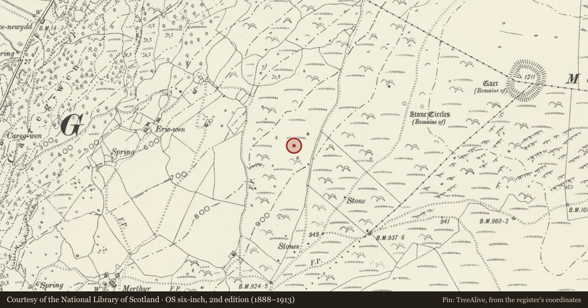Ordnance Survey six-inch map, 2nd edition (1888–1913) covering the location of Erw Wen Prehistoric and Medieval Settlement, Harlech, Gwynedd, with a pin at the register's coordinates
