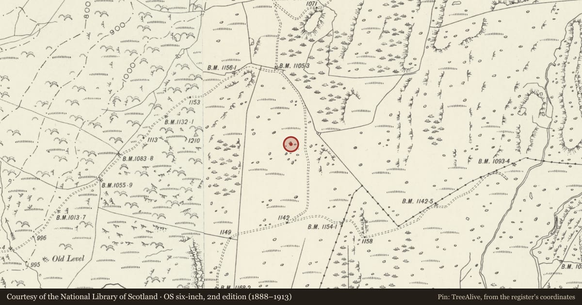 Ordnance Survey six-inch map, 2nd edition (1888–1913) covering the location of Deserted Rural Settlement North of Llyn y Fedw, Talsarnau, Gwynedd, with a pin at the register's coordinates