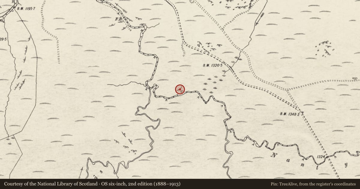 Ordnance Survey six-inch map, 2nd edition (1888–1913) covering the location of Afon Cynfal Deserted Rural Settlement, Maentwrog, Gwynedd, with a pin at the register's coordinates