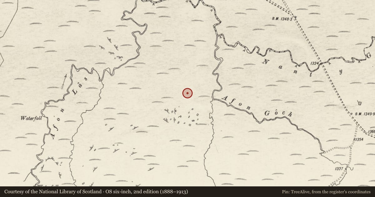 Ordnance Survey six-inch map, 2nd edition (1888–1913) covering the location of Afon Goch Deserted Rural Settlement, Maentwrog, Gwynedd, with a pin at the register's coordinates