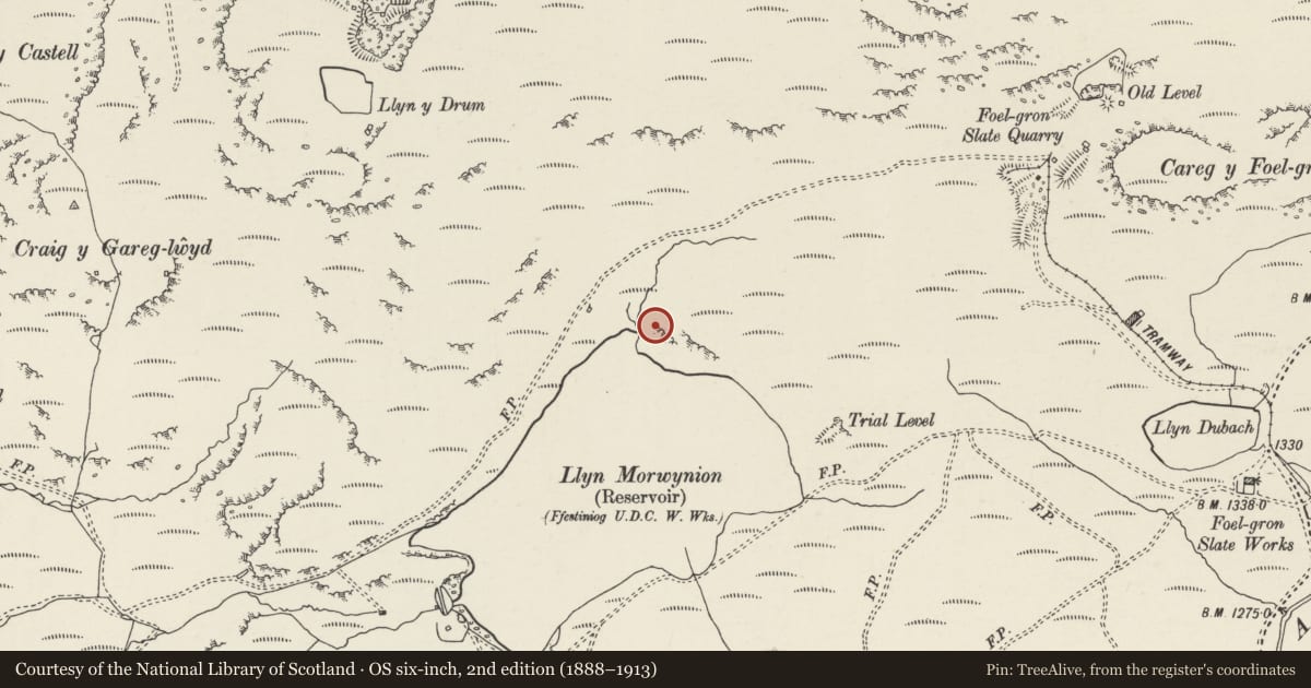 Ordnance Survey six-inch map, 2nd edition (1888–1913) covering the location of Hut Circle at Llyn Morwynion, Ffestiniog, Gwynedd, with a pin at the register's coordinates