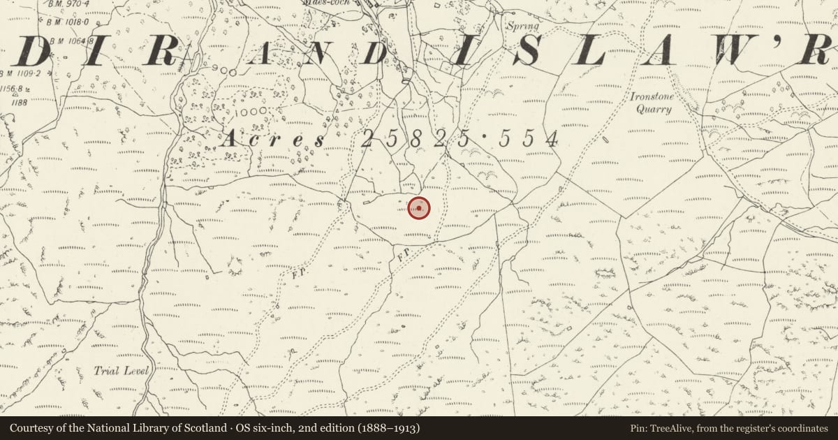 Ordnance Survey six-inch map, 2nd edition (1888–1913) covering the location of Maes Coch Hut Circles, Dolgellau, Gwynedd, with a pin at the register's coordinates