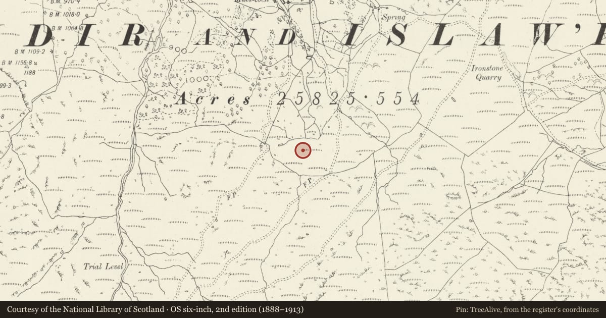 Ordnance Survey six-inch map, 2nd edition (1888–1913) covering the location of Maes Coch Deserted Rural Settlement, Dolgellau, Gwynedd, with a pin at the register's coordinates