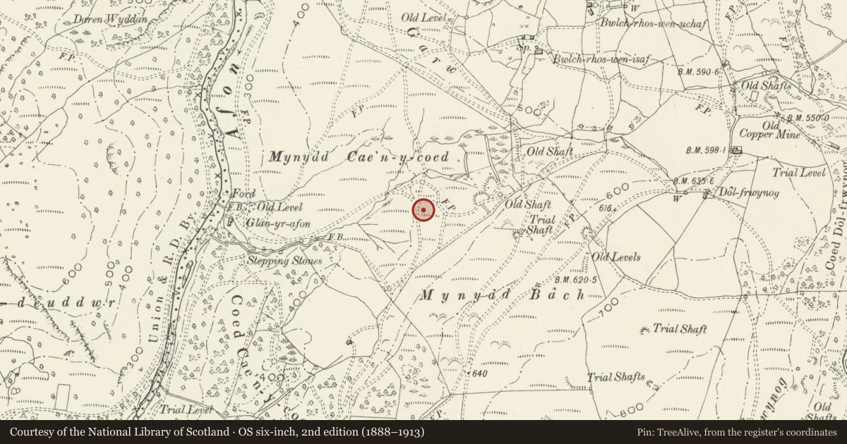 Ordnance Survey six-inch map, 2nd edition (1888–1913) covering the location of Hermon or Dolfwynog Copper/Gold Bog Kiln, Ganllwyd, Gwynedd, with a pin at the register's coordinates