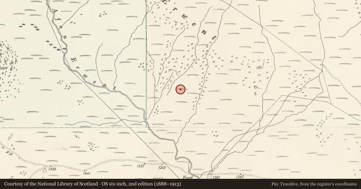 Ordnance Survey six-inch map, 2nd edition (1888–1913) covering the location of Llechwedd Erwent Hut Circle Settlement, Llanuwchllyn, Gwynedd, with a pin at the register's coordinates