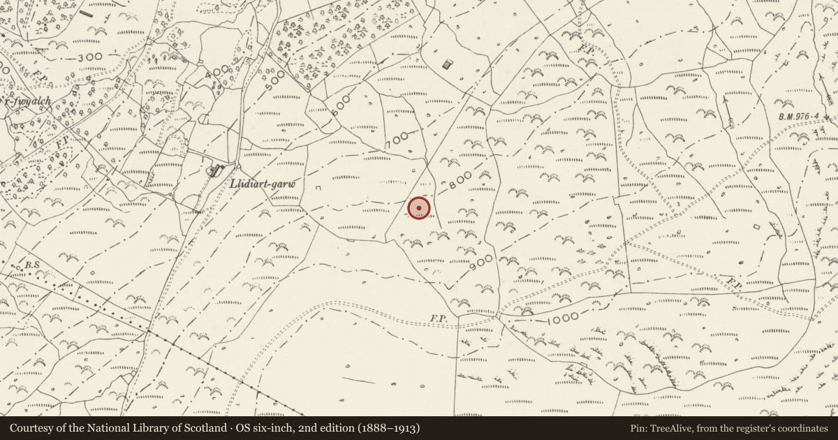 Ordnance Survey six-inch map, 2nd edition (1888–1913) covering the location of Tyddyn Sion Wyn Ring Cairn, Talsarnau, Gwynedd, with a pin at the register's coordinates