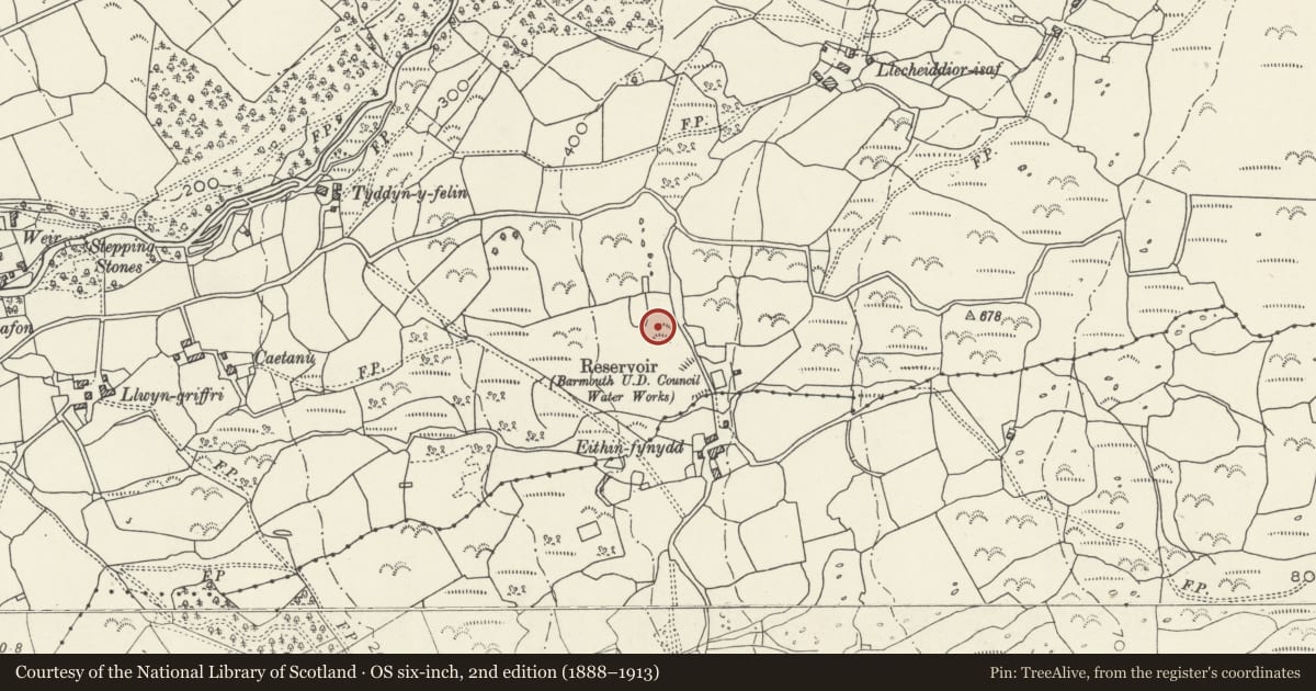 Ordnance Survey six-inch map, 2nd edition (1888–1913) covering the location of Eithin-Fynydd Platform House Settlement, Dyffryn Ardudwy, Gwynedd, with a pin at the register's coordinates