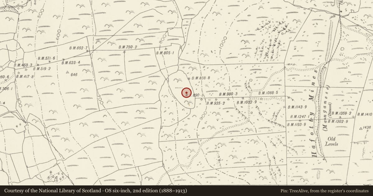Ordnance Survey six-inch map, 2nd edition (1888–1913) covering the location of Deserted Rural Settlement South of Ffridd Olchfa, Dyffryn Ardudwy, Gwynedd, with a pin at the register's coordinates