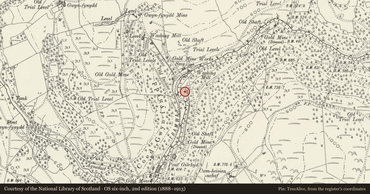 Ordnance Survey six-inch map, 2nd edition (1888–1913) covering the location of Cwm Heisian West Lead and Gold Mine, Ganllwyd, Gwynedd, with a pin at the register's coordinates