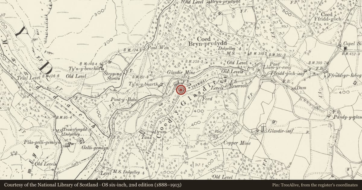 Ordnance Survey six-inch map, 2nd edition (1888–1913) covering the location of Glasdir Copper and Gold Mine Mill, Brithdir and Llanfachreth, Gwynedd, with a pin at the register's coordinates